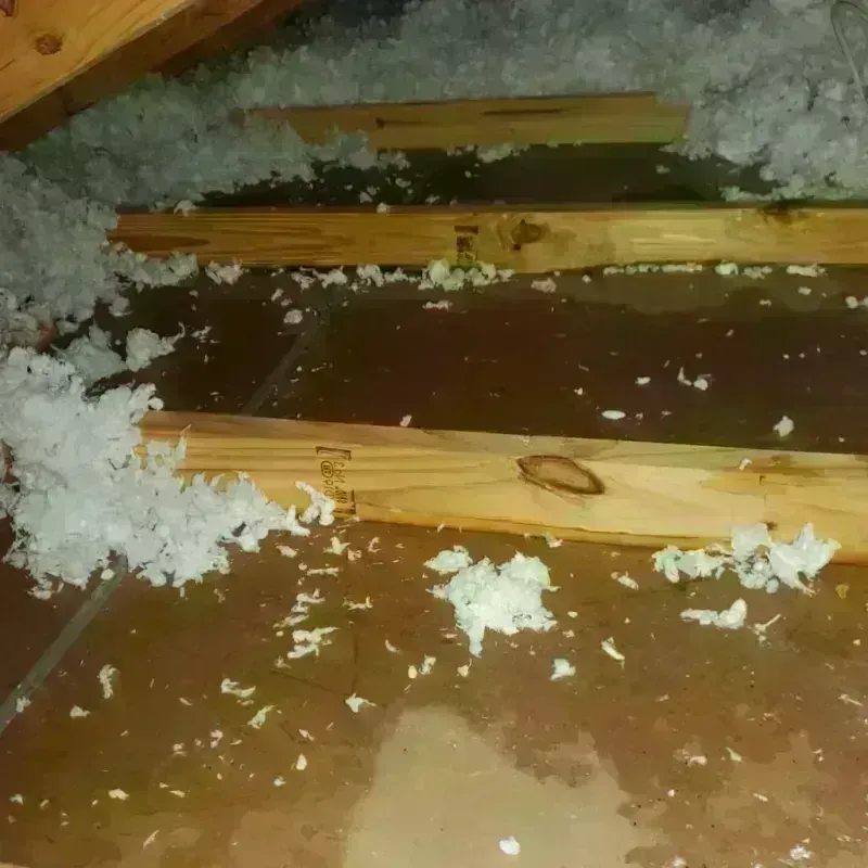 Attic Water Damage in River Rouge, MI