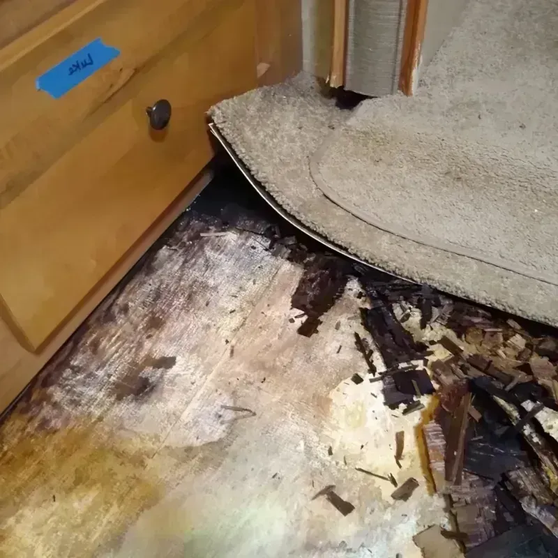 Wood Floor Water Damage in River Rouge, MI